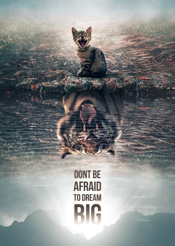 Dream Big 2