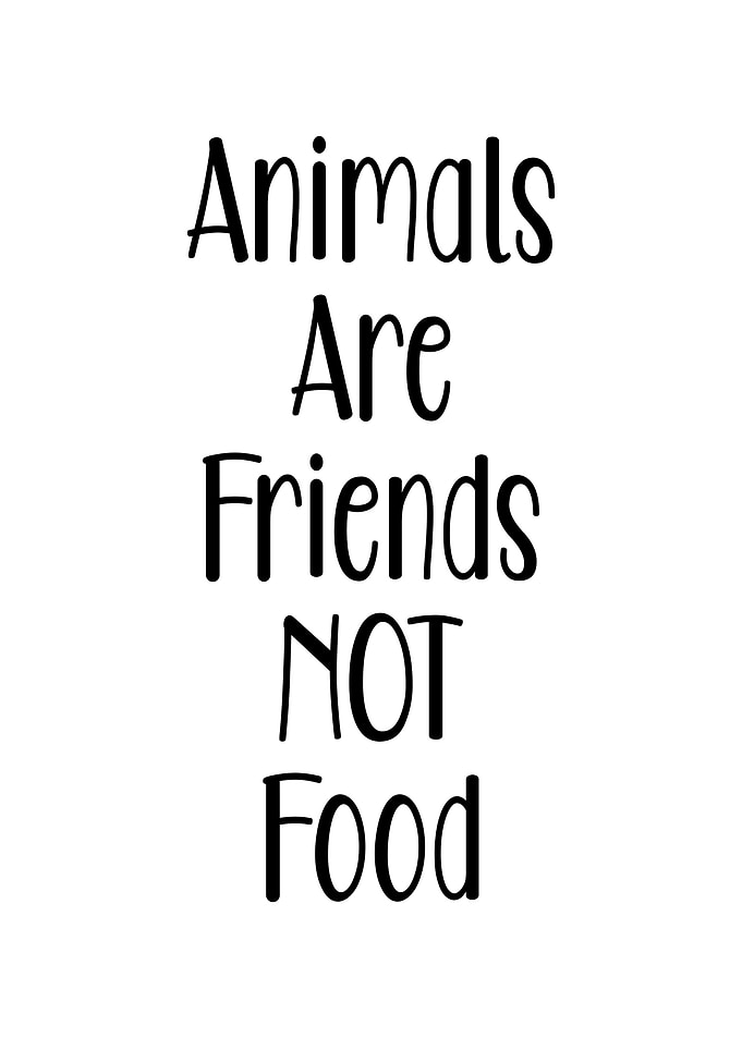 Friends