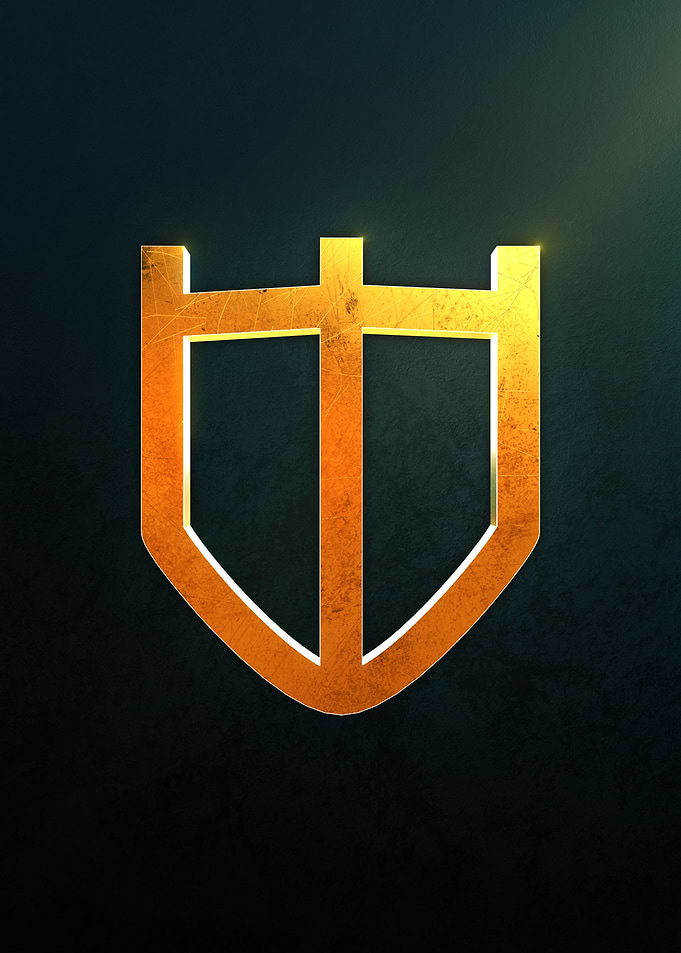 Paladin