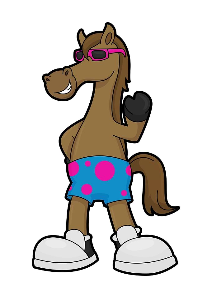 Horse Sunglasses