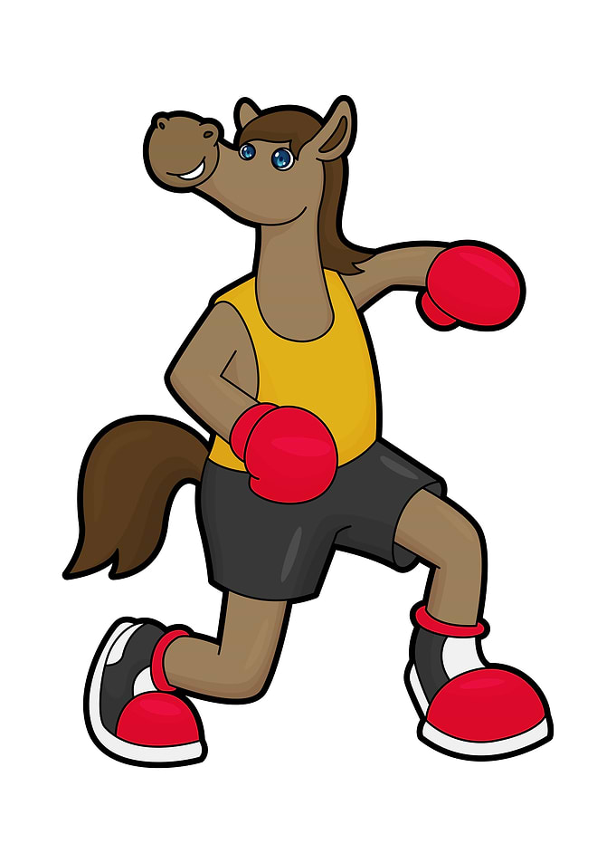 Horse Boxer Boxing gloves