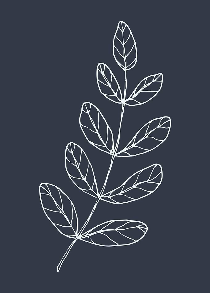 Minimal Art Flower 9