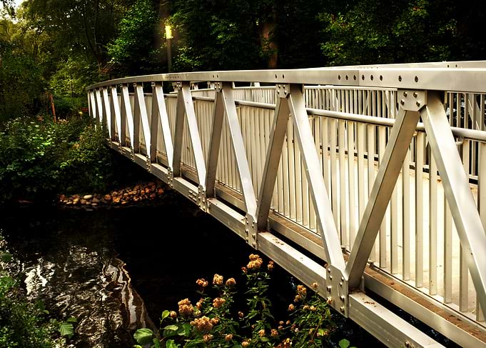 Bridge into dark wood