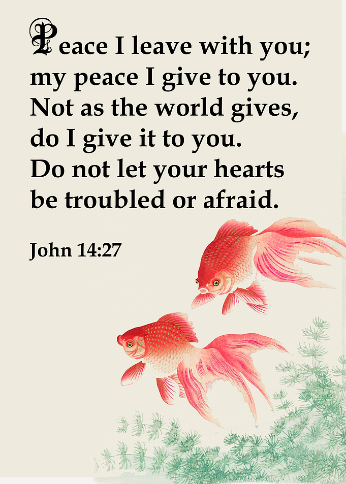 Holy Bible Gospel of John