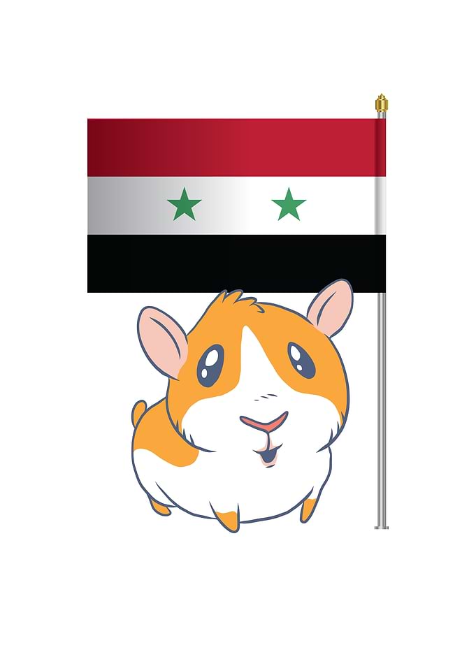 Hamster Syrian