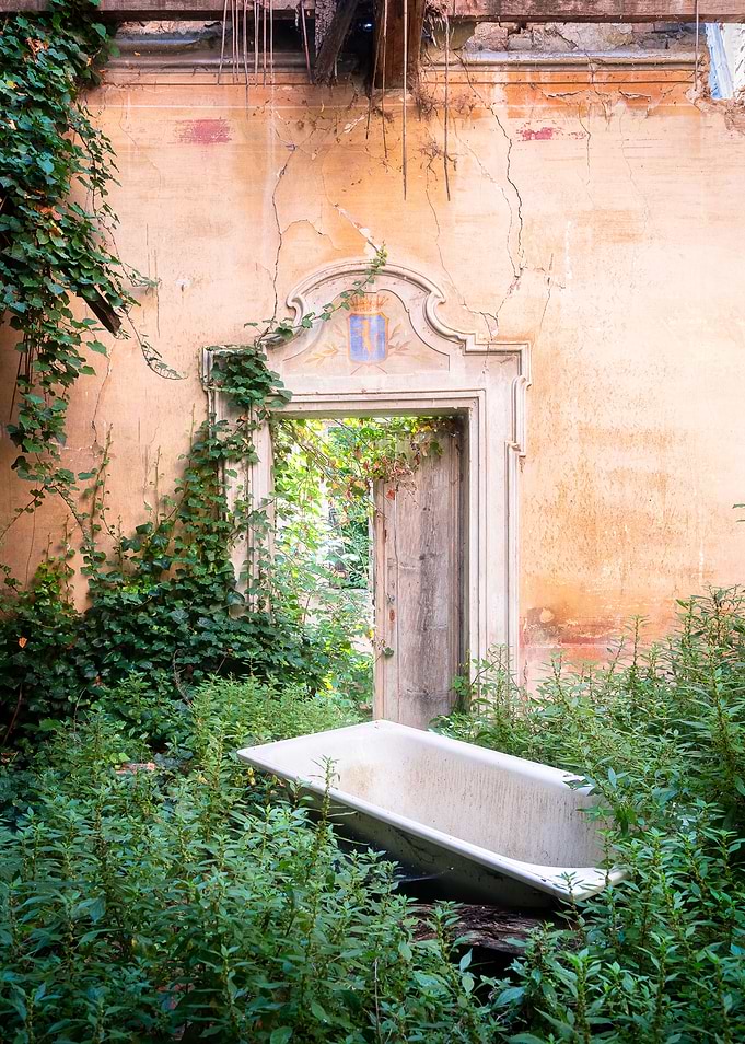 Bathtub covered in Plants