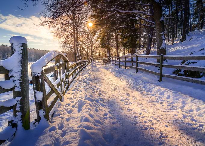 Winter Road