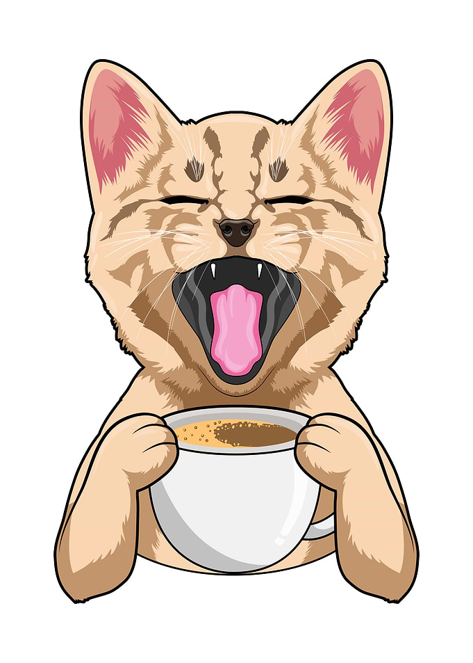 Cat Cup of Coffee