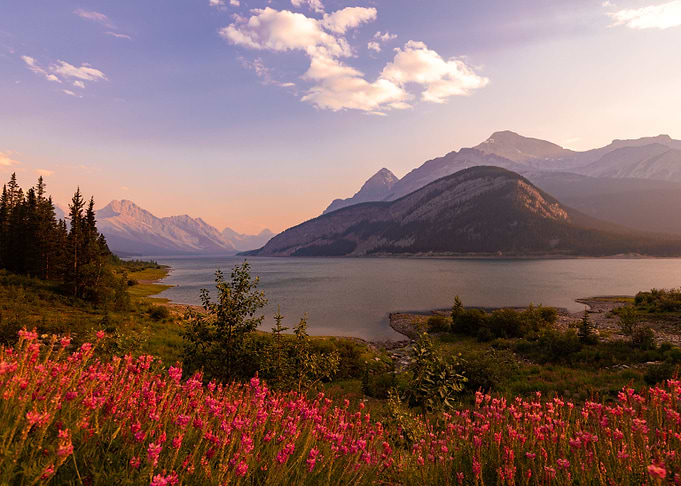 Canadian Radiance
