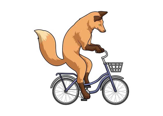 Fox Bicycle