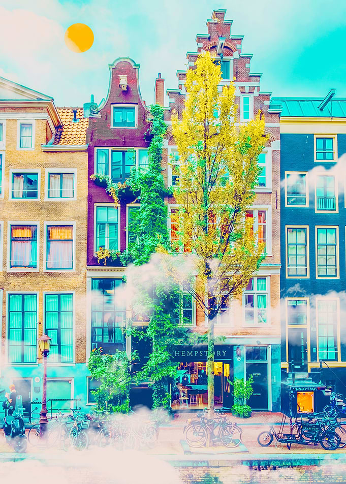 Street in Amsterdam