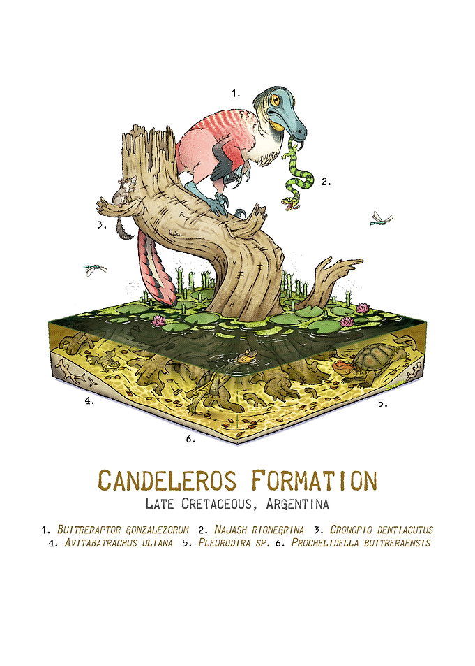Candeleros Formation