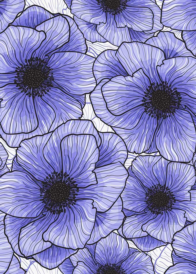 Purple Anemones G602