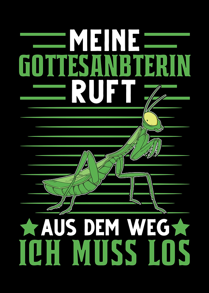 Meine Gottesanbeterin ruft