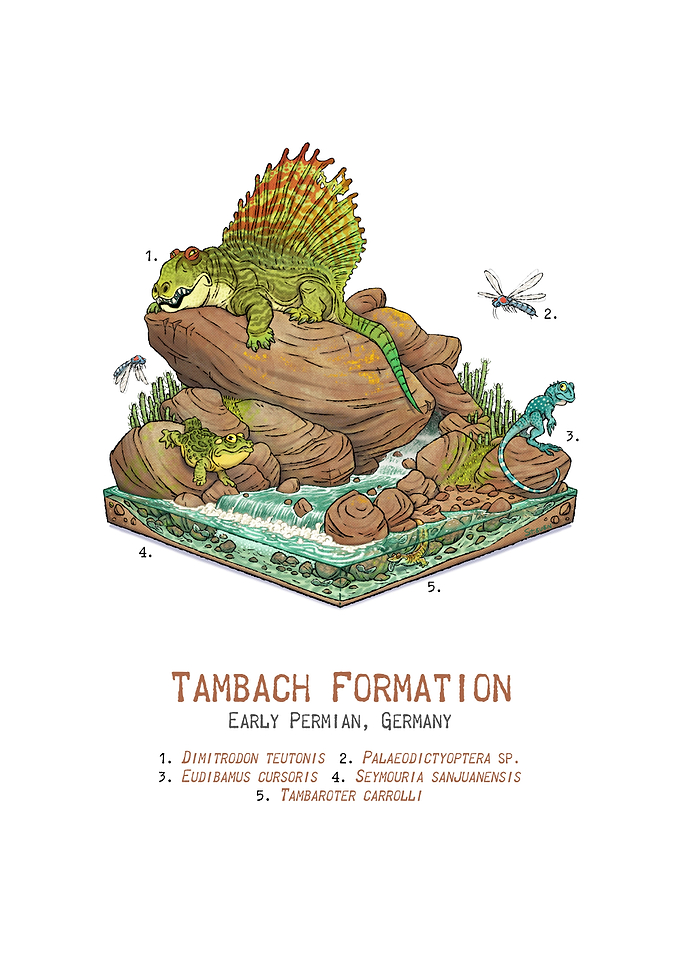 Tambach Formation