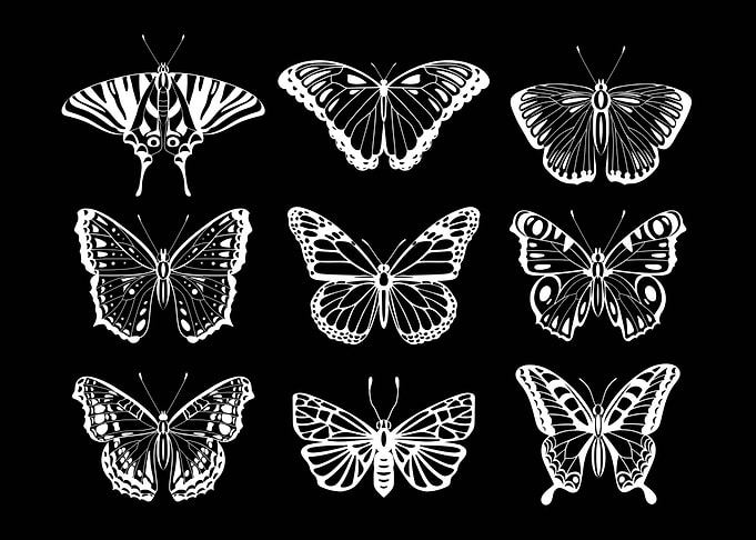 Dark Academia Butterfly