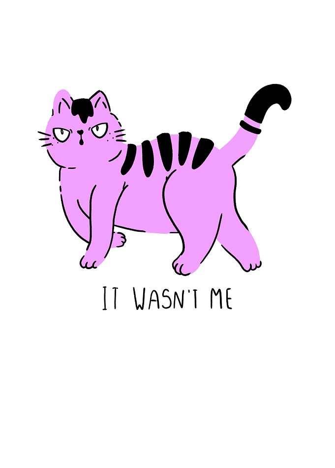 It wasnt me