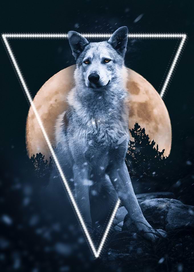Night fantasy wolf moon