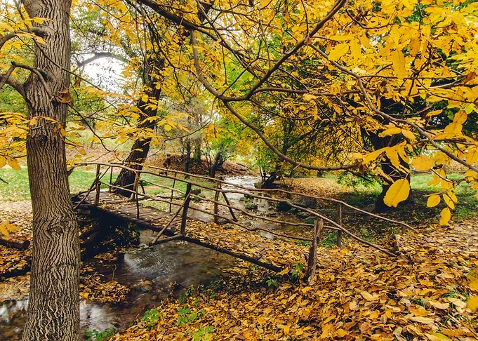 Autumn