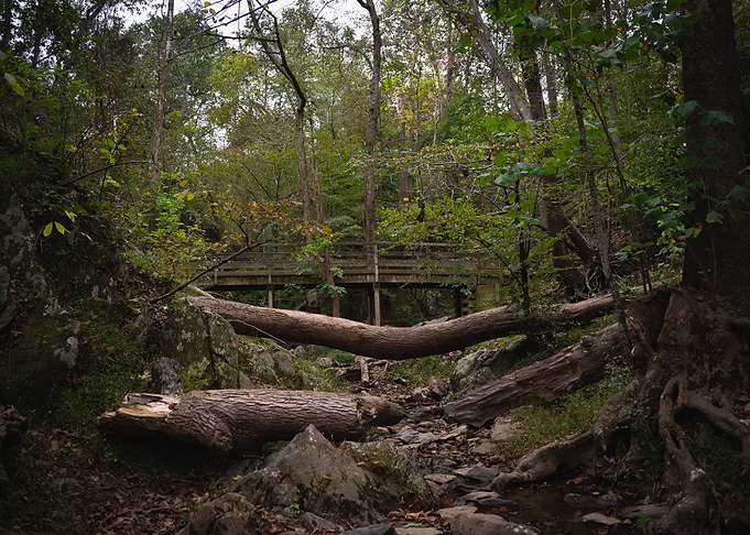 Great Falls Bridge