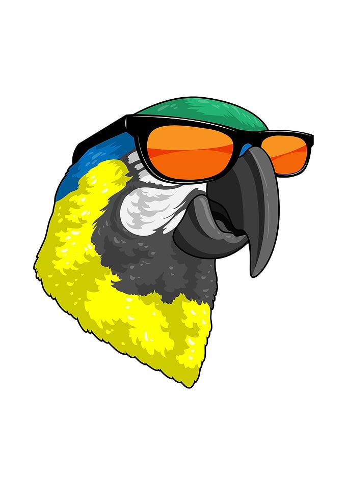 Parrot Sunglasses