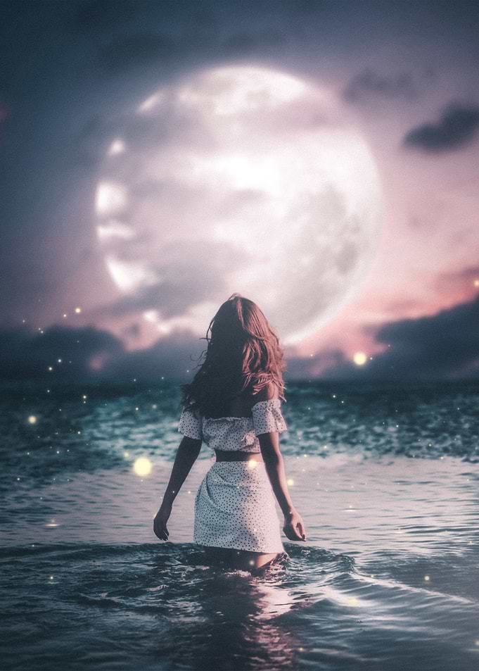 Fly Me To The Moon