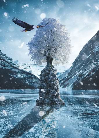 The Winter