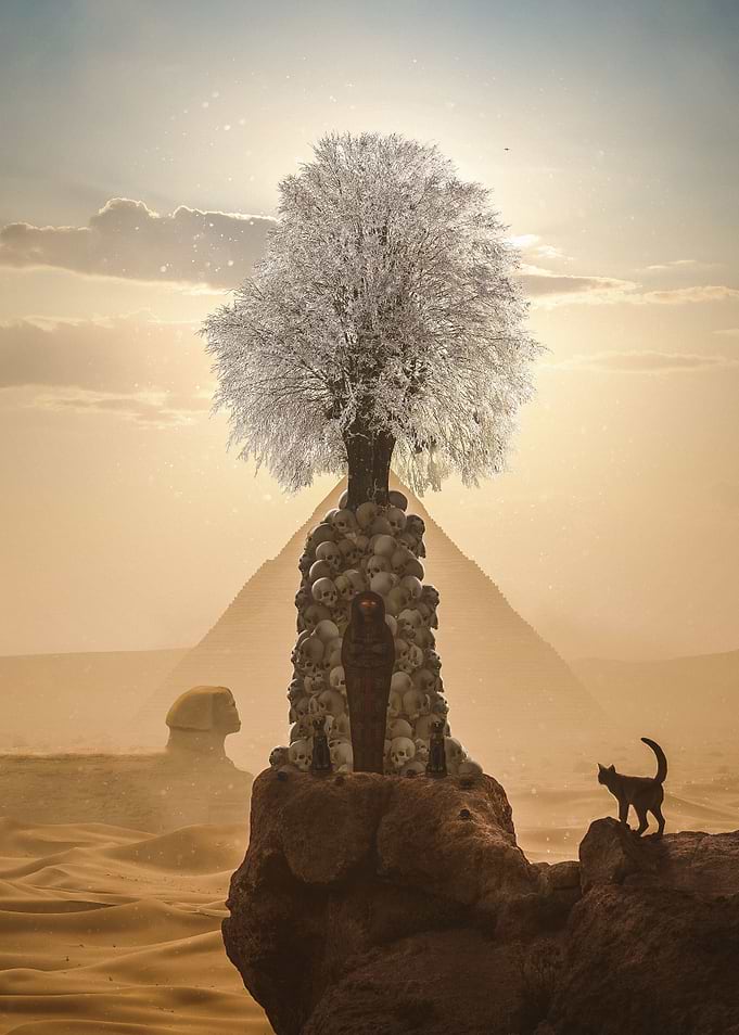 The Desert