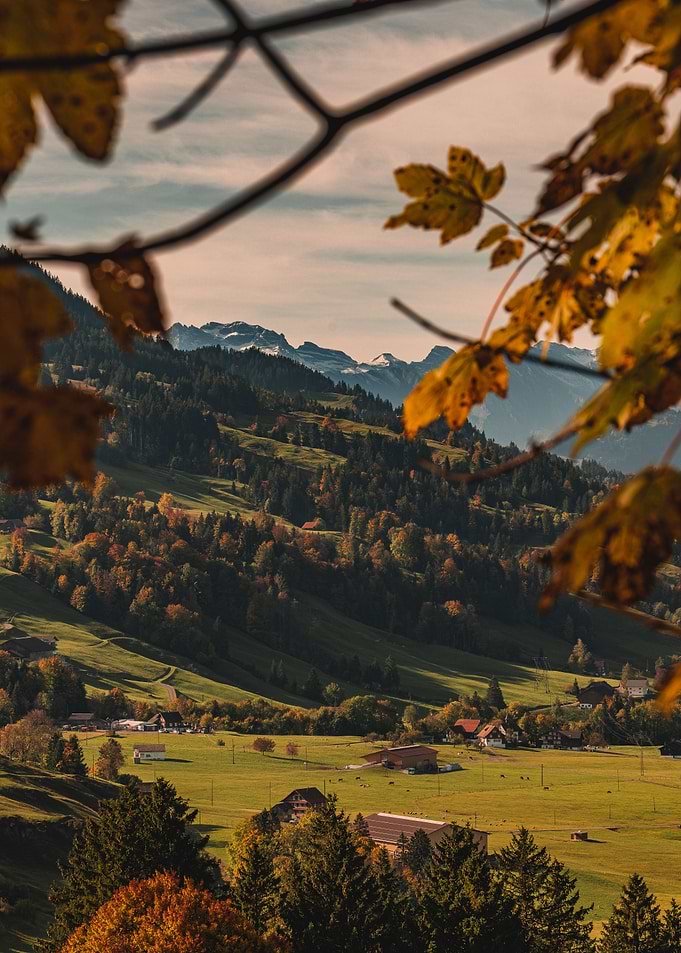 Autumn Landscape