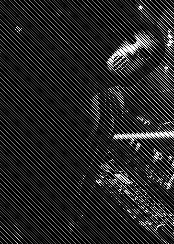 angerfist