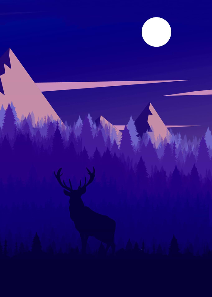 Night Nature