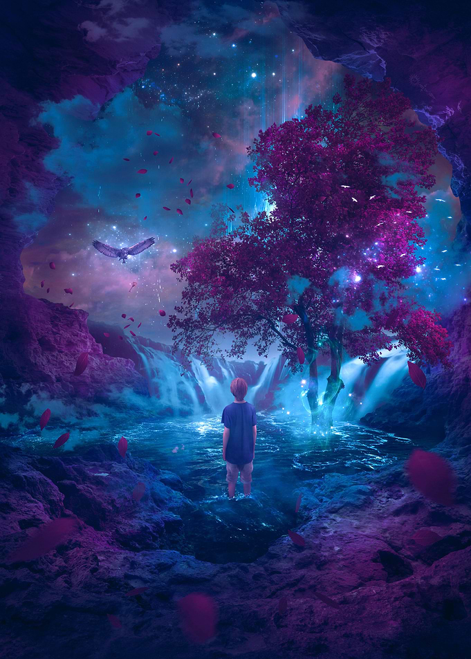 KINGDOM OF DREAMS
