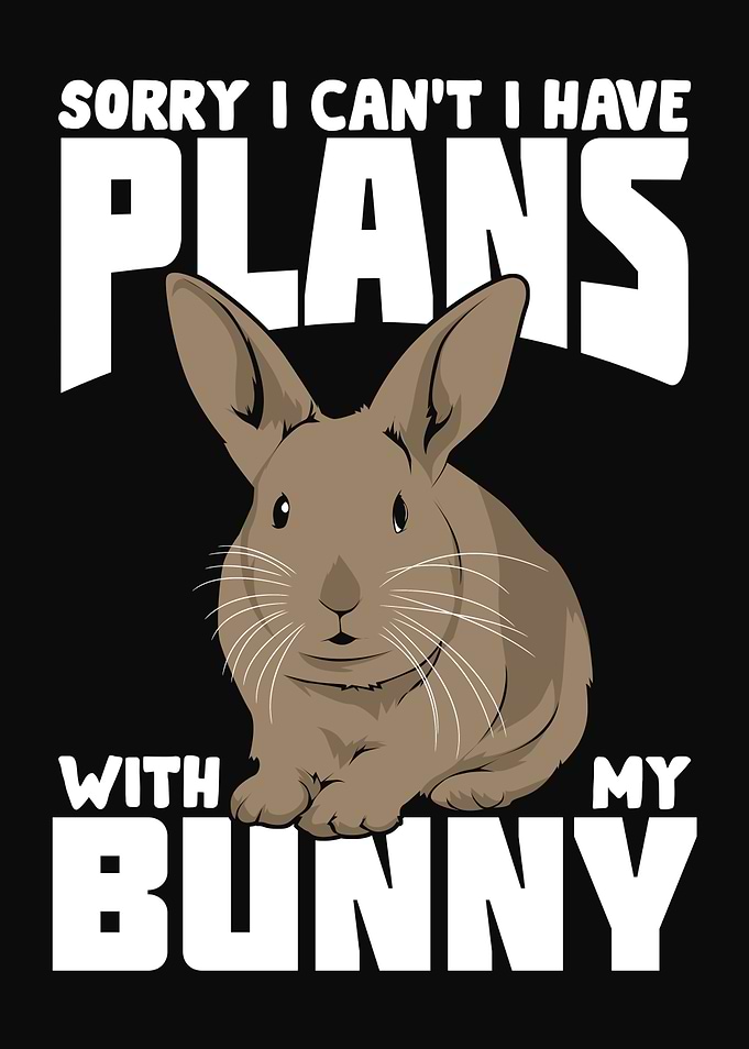 Rabbit Bunny Animal Lover