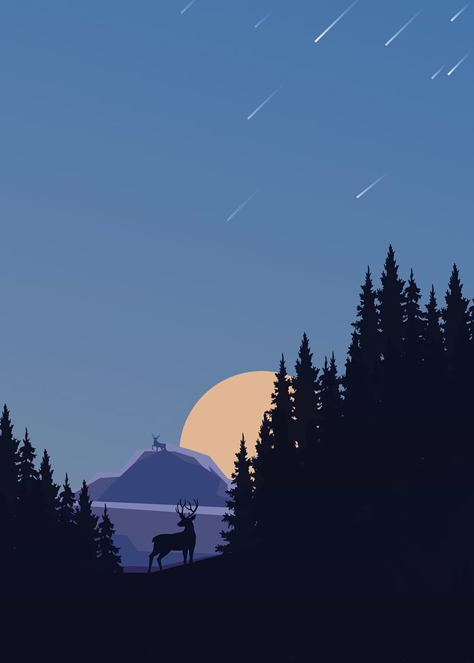 Deer in the jungle