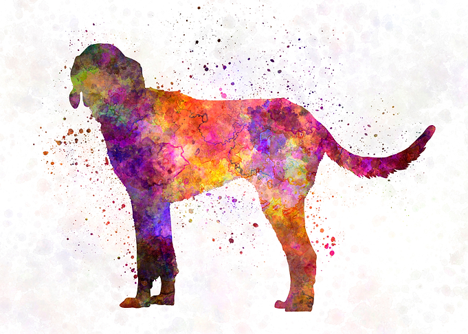 Billy dog in watercolor