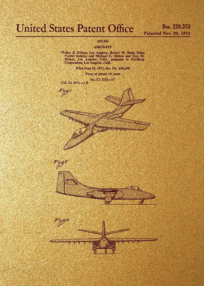 82 Northrop YA9 Aircraft