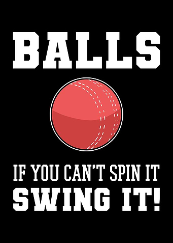 Cricket Ball