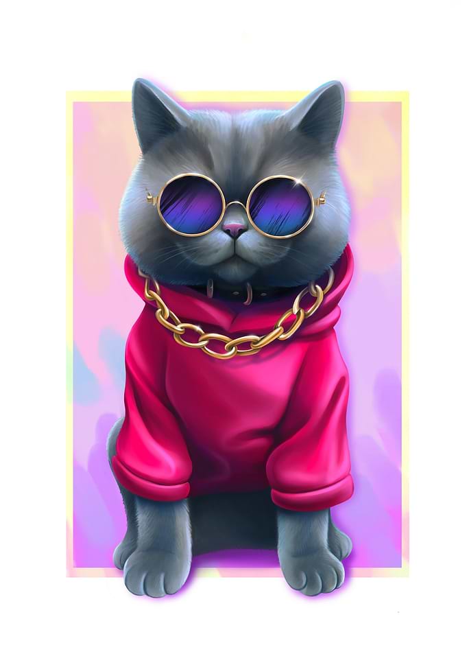 cat in red hoodie