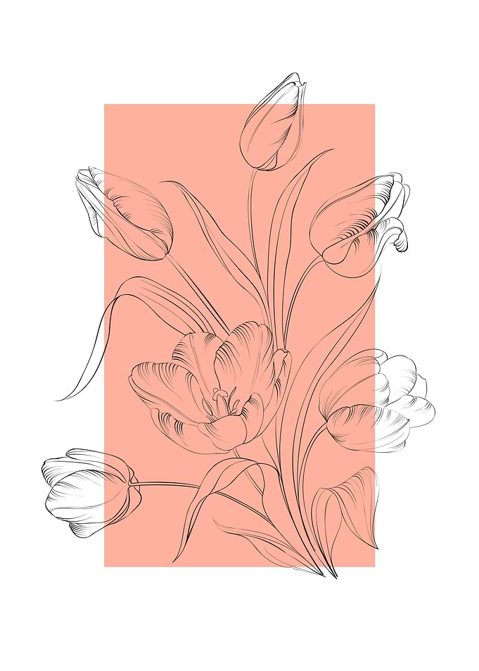 Tulip Flowers Line Art