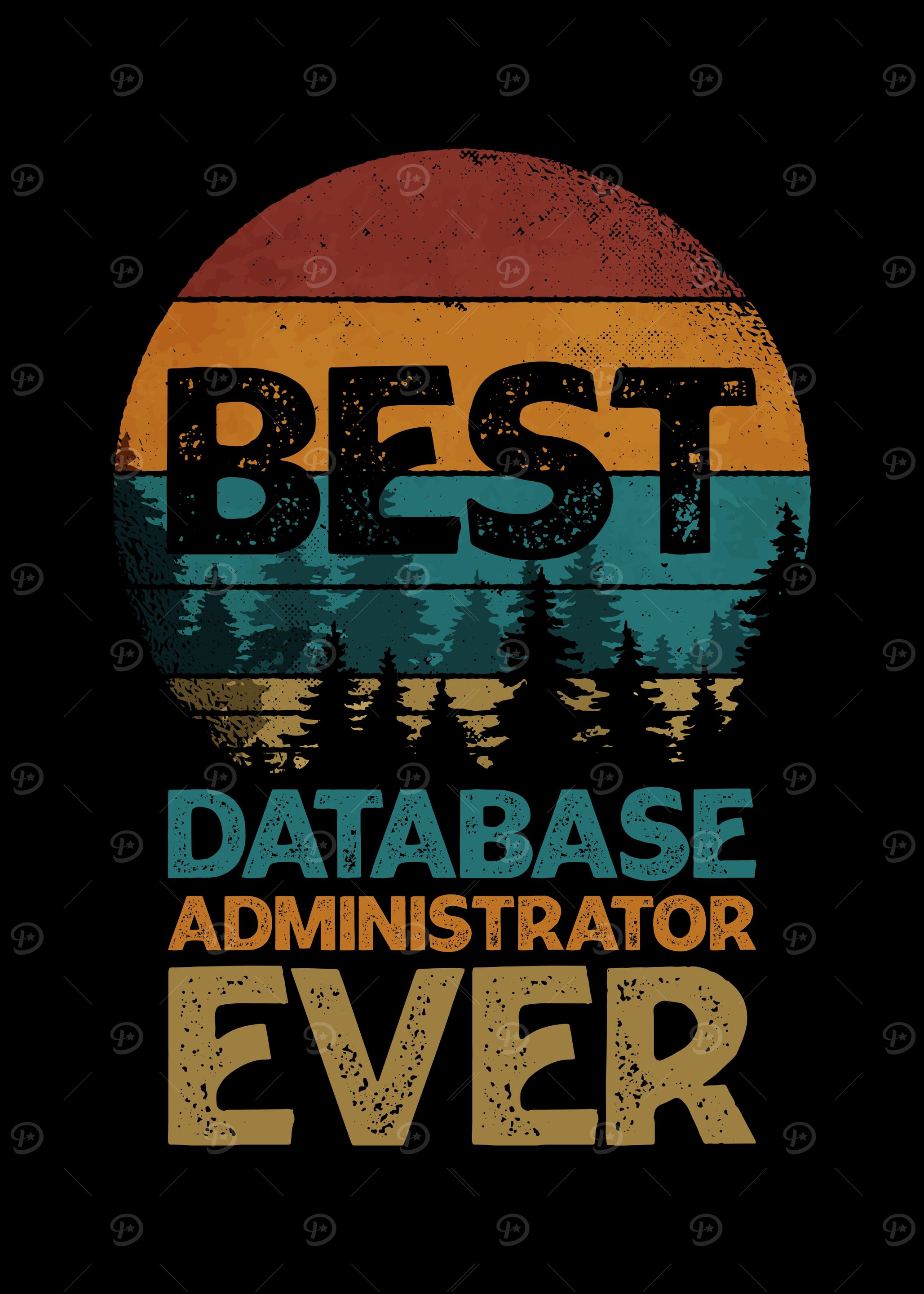 Database Administrator