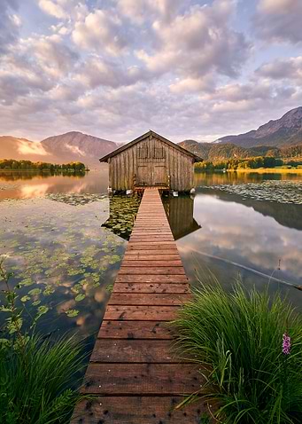 Morning Light At The Lake