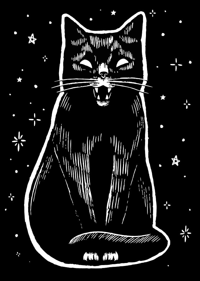 Black Cat