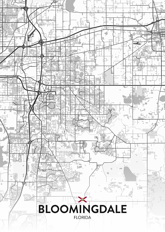 Bloomingdale FL