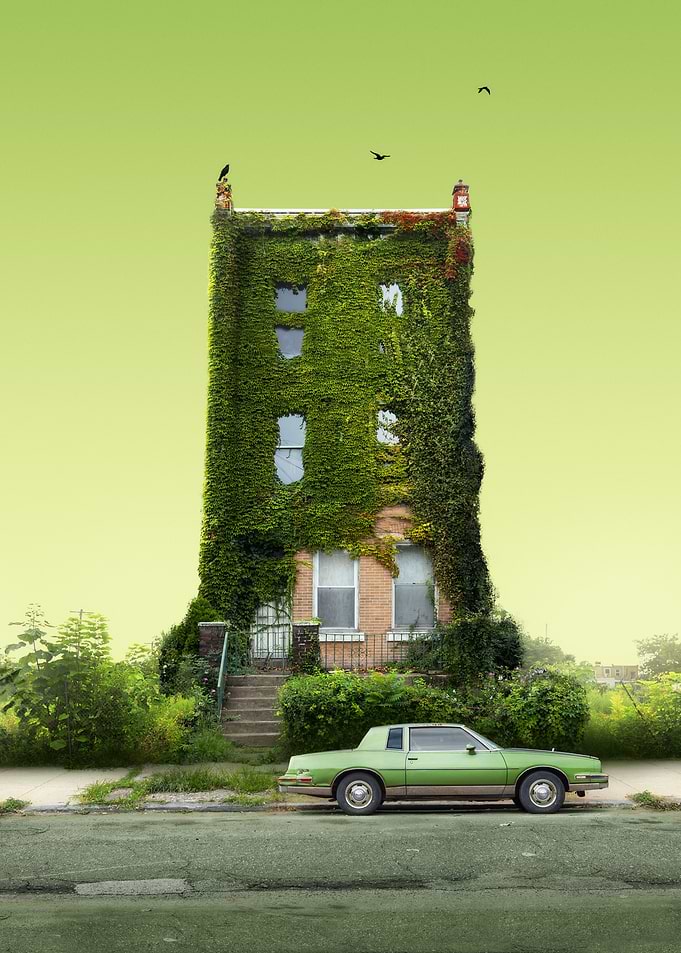 Rowhome 65