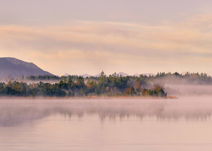 Misty Lake In Bavaria