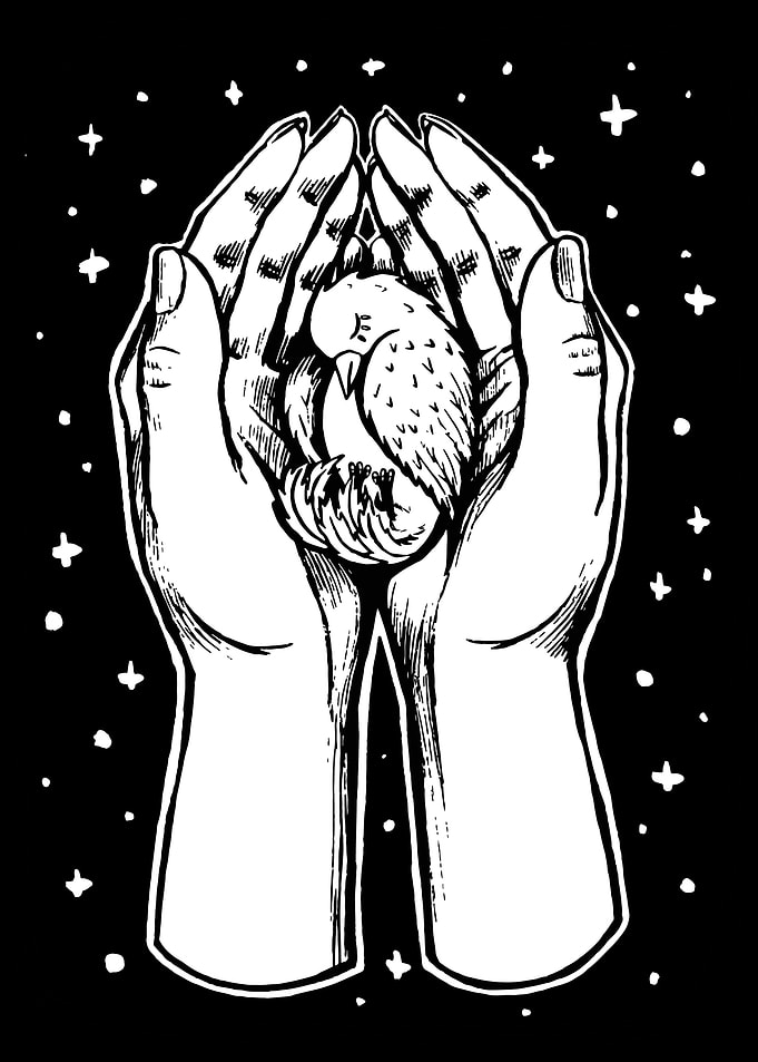Baby Bird