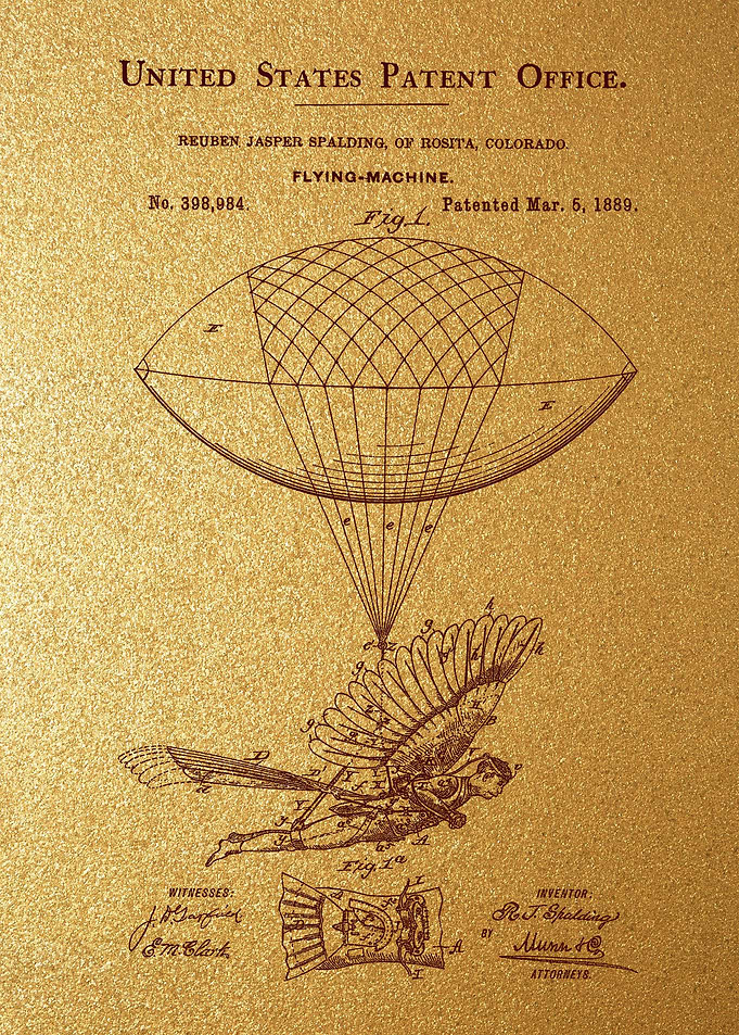 92 Balloon Bird Flying Ma