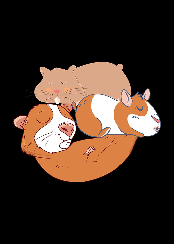 Lazy hamster