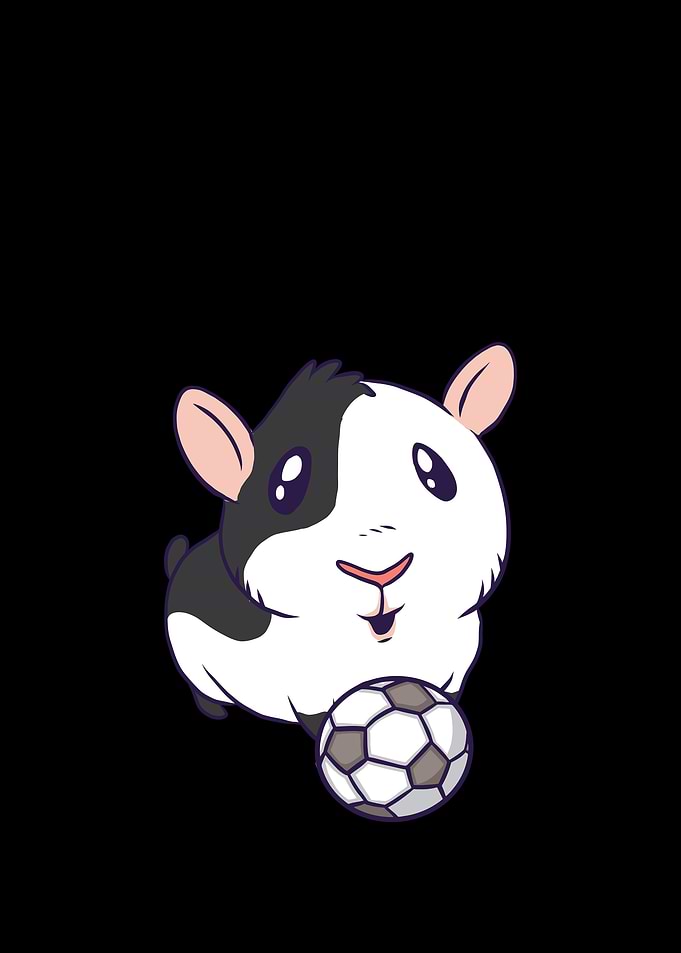 Soccer hamster