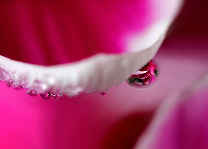 Drop